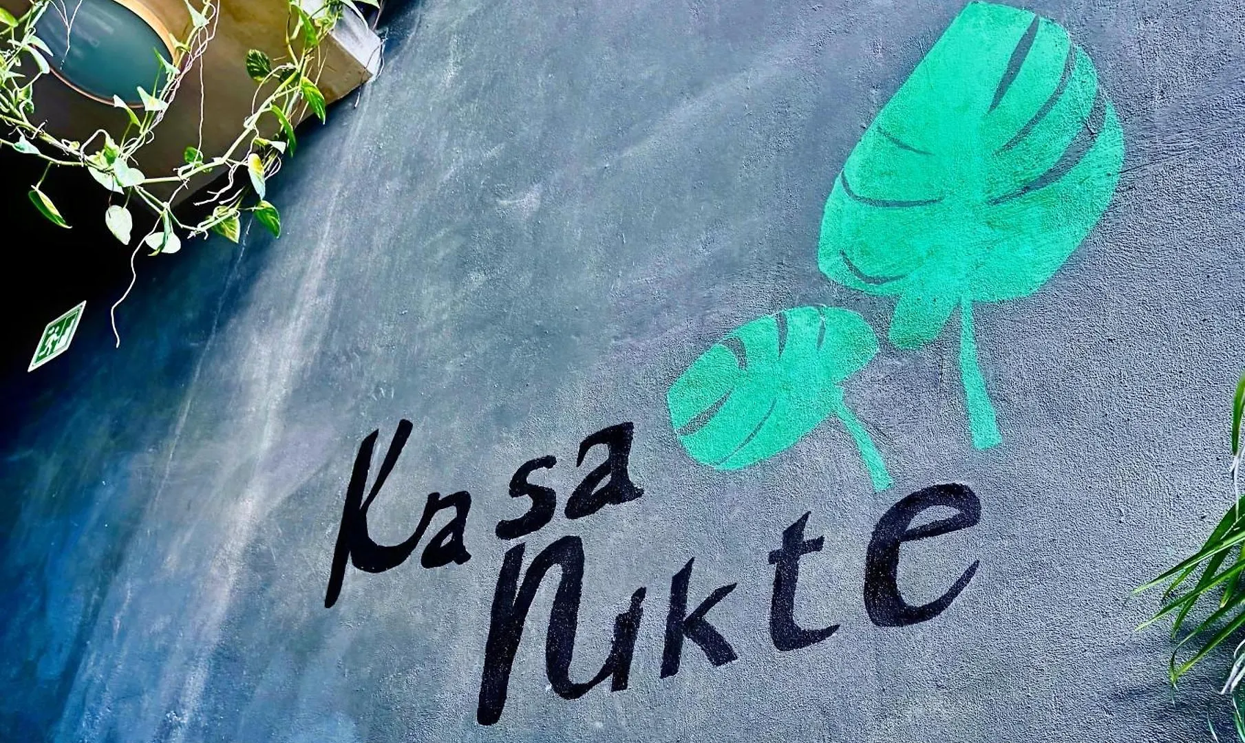 مبيت وإفطار Kasa Nikte تولوم